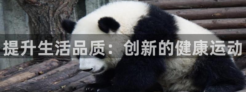 fb体育招商电话地址查询:提升生活品质:创新的健康运动