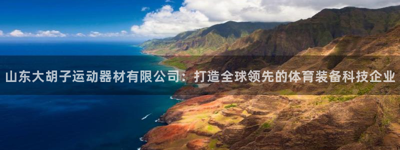 fb体育平台:山东大胡子运动器材有限公司:打造全球领先的体育