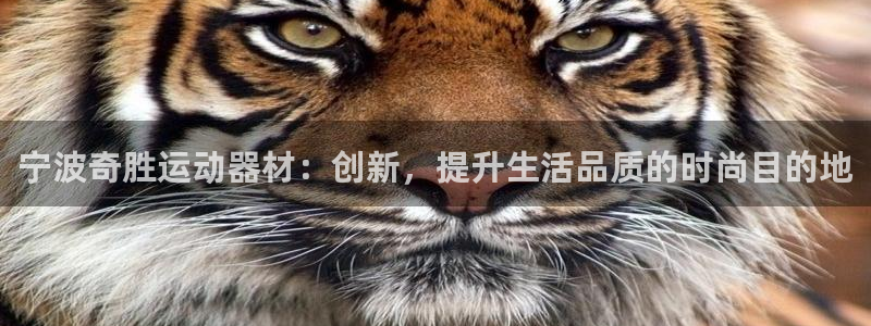 fb体育新能源:宁波奇胜运动器材:创新,提升生活品质的时尚目